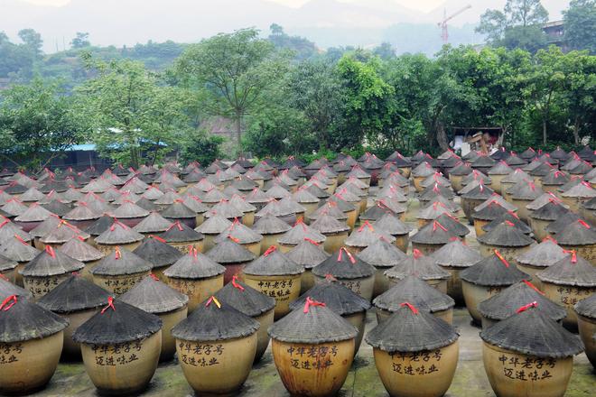 百年匠心酿岁月 薪火相传谱新篇麻将胡了试玩模拟器江津酿造：(图4)